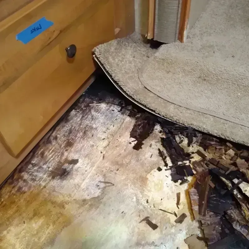 Best Wood Floor Water Damage Service in Breinigsville, PA